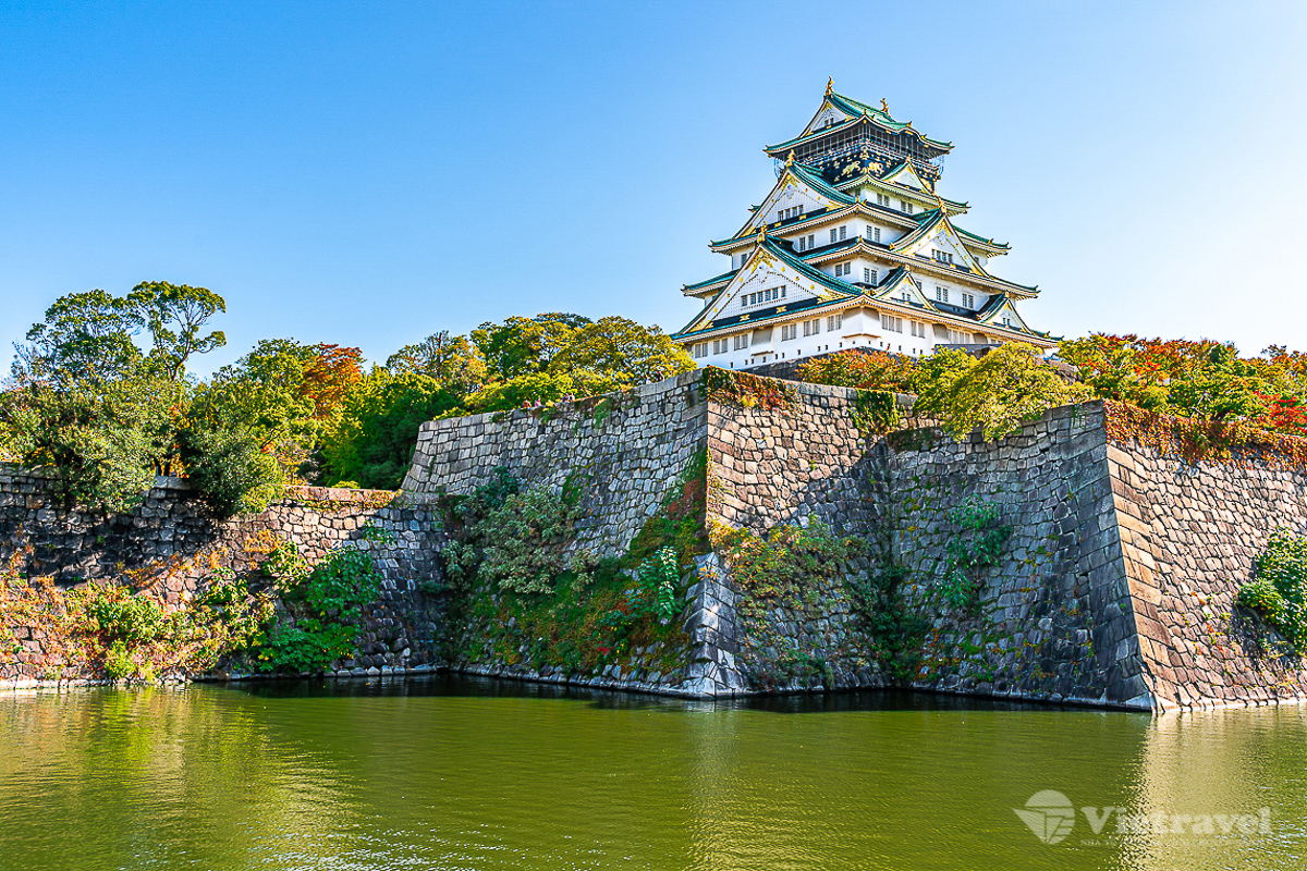 Tour information:  Nhật Bản: Tokyo - Vịnh Odaiba - Núi Phú Sĩ - Nagoya - Kobe - Osaka (Thưởng thức bò Kobe, trải nghiệm shinkansen, trà đạo & mặc Yukata) – Tặng kem rắc vàng